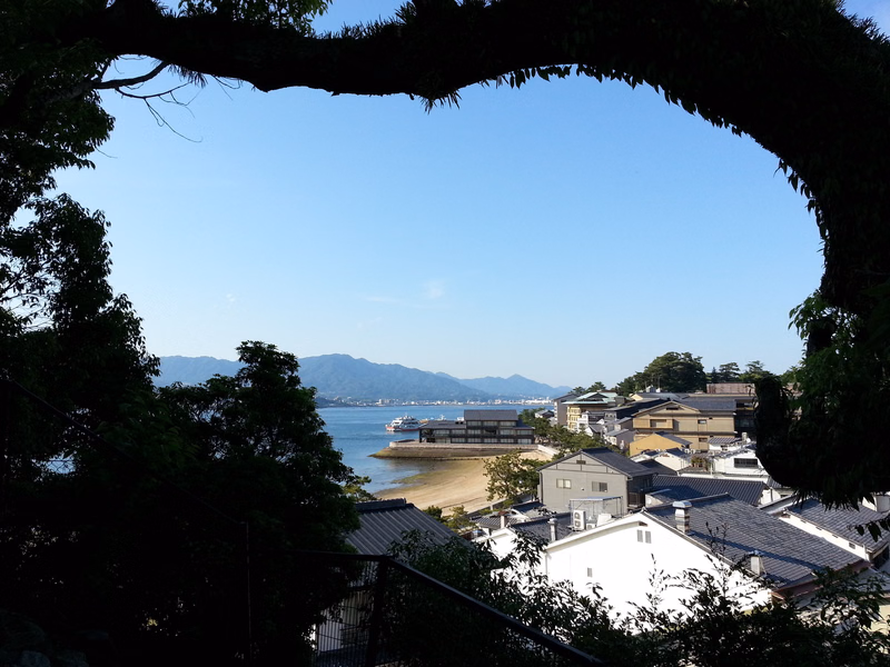 A view of a coastal city and bay framed by dark foliage under a clear blue sky, with mountains in the distance.