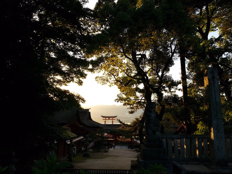 A traditional Japanese temple complex is partially visible beneath a canopy of large, dark trees against a bright sunset sky.