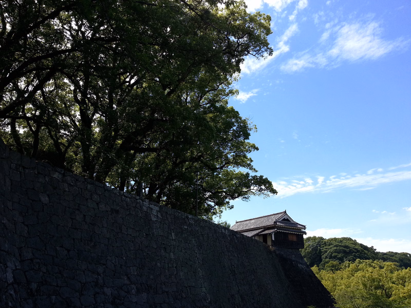 A large stone wall runs alongside a dense green tree under a bright blue sky with scattered white clouds, with a traditional building visible in the distance.
