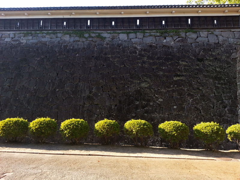 A tall, dark stone wall with a row of small, neatly trimmed green hedges along the base, beneath a building facade.
