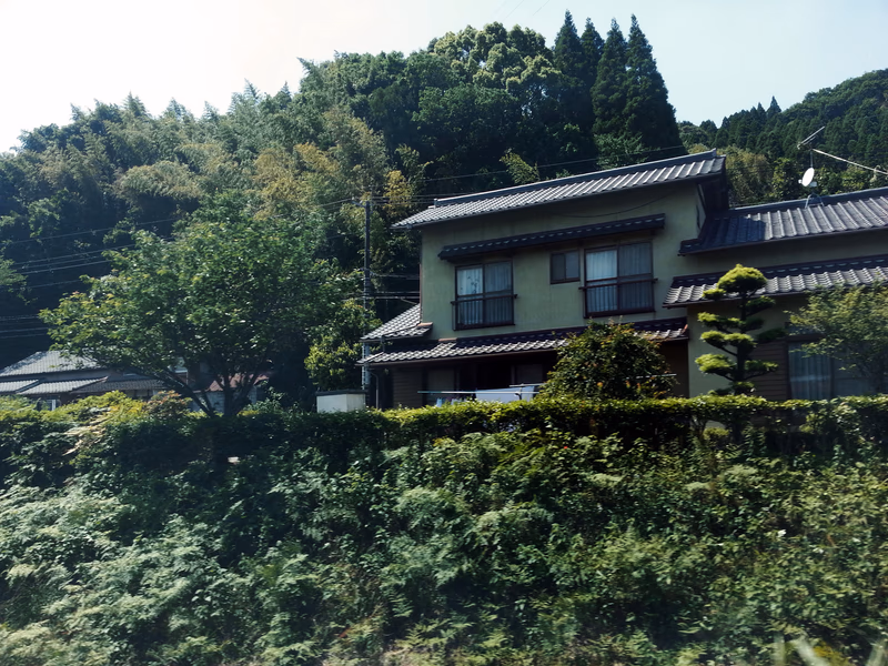 A serene view of a house surrounded by lush greenery and trees.