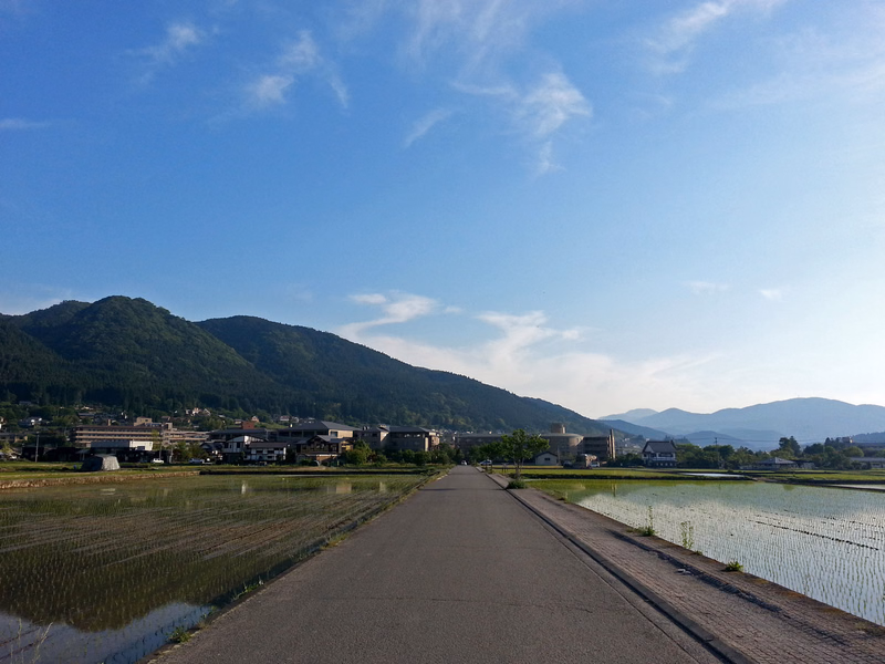 A long paved road runs through a rural landscape bordered by flooded rice fields and backed by rolling green mountains under a bright blue sky.