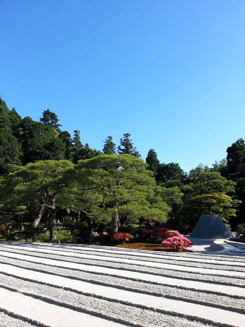 A wide view of snow-covered terraced hillsides with lush green trees under a clear blue sky.