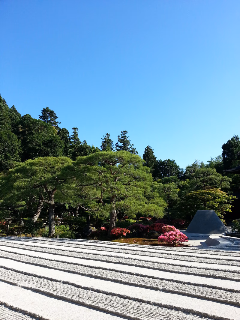 A serene garden with meticulously arranged white gravel and lush greenery under a clear blue sky.