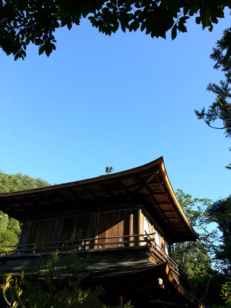 A photo of a traditional wooden Japanese building surrounded by trees under a clear blue sky.