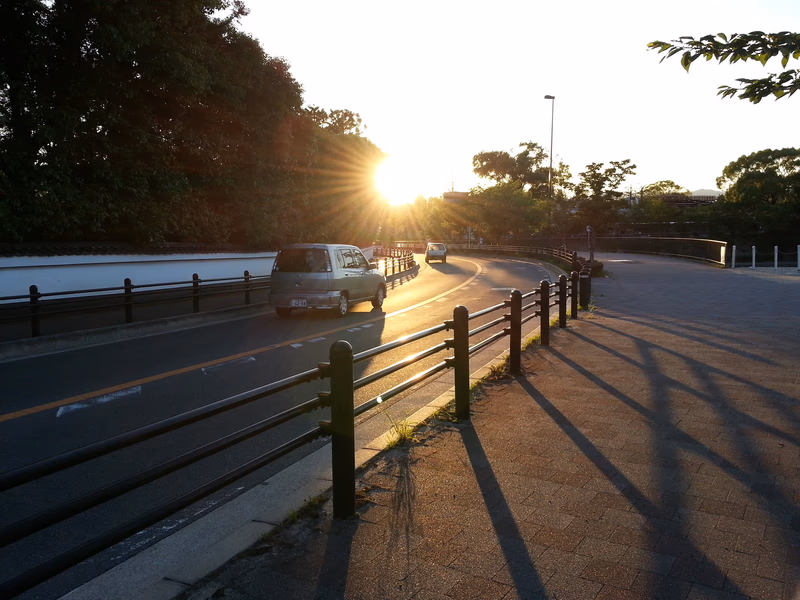 A car on a road with a setting sun and a tree in the background.