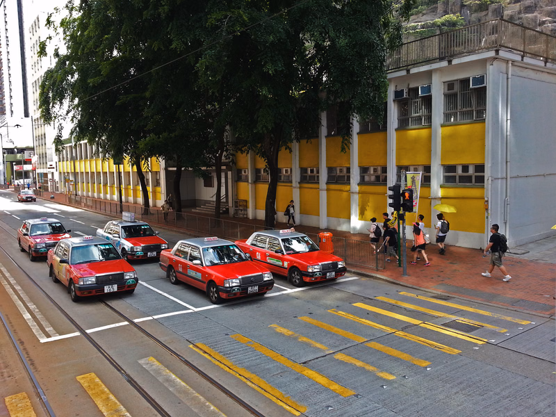 Several red and white trams are visible on the street in front of a yellow and white building with a dark green tree canopy overhead.