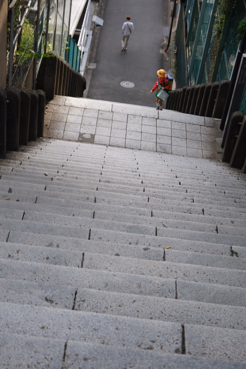 A staircase leading down to a street where a person is walking with a bicycle and another person is walking up the stairs.