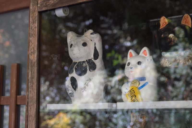 Two ceramic maneki-neko cats are displayed inside a glass cabinet, one black and white, and one white and gray.