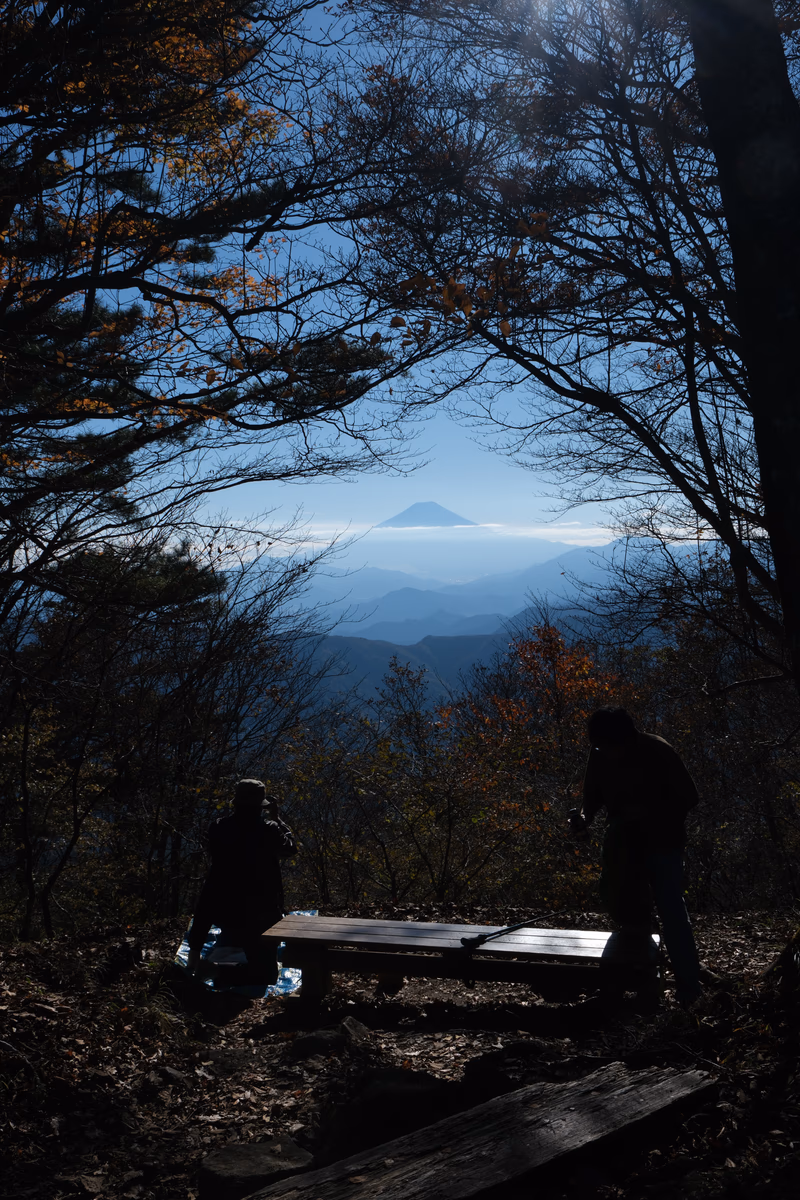 A photo of a skateboard placed on a wooden surface, surrounded by trees, with a mountain reflected in the water.