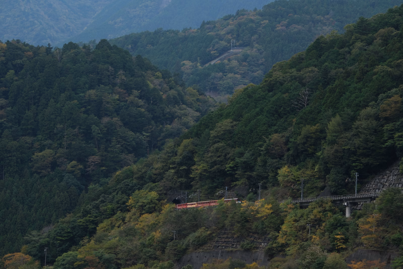 A red train travels along a railway line winding through a dense, green mountain forest.