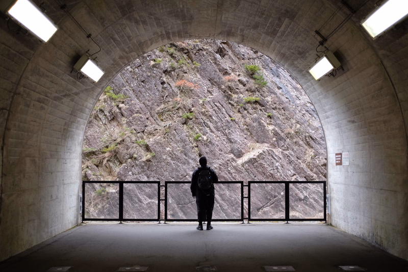 A person stands in a large concrete tunnel looking out at a steep, rocky hillside through a metal gate.