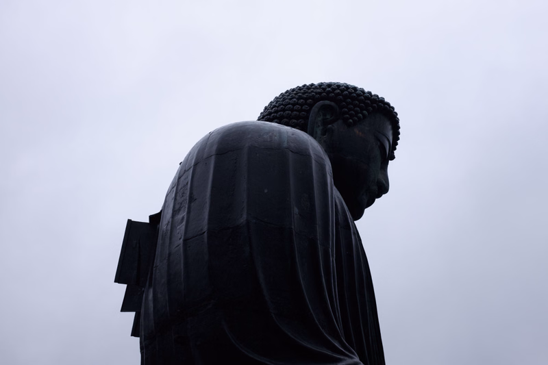 A dark statue of the Buddha is shown in profile against a bright, overcast sky.