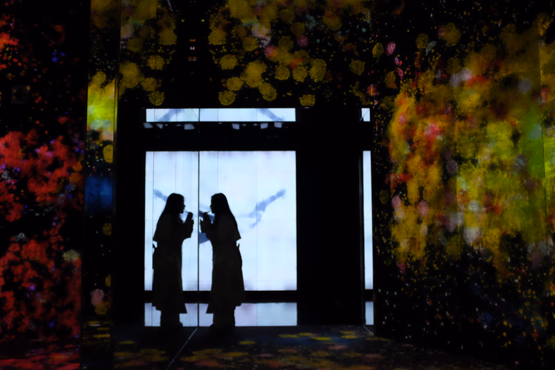 Two silhouetted figures in front of a light display, surrounded by abstract art and nature.