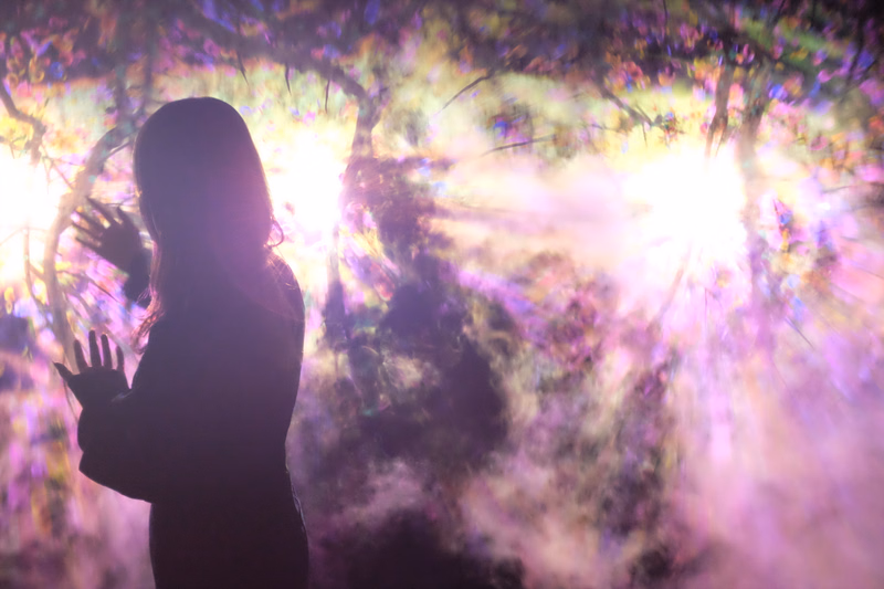 A silhouette of a person with hands raised against a bright, ethereal light shining through trees and mist.