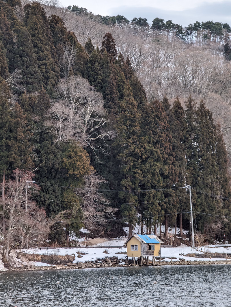 A small beach hut sits on the shore of a lake, surrounded by tall evergreen trees in a winter landscape.