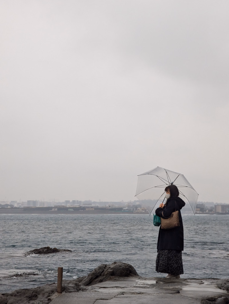 A person holding a clear umbrella stands on a rocky coast overlooking the sea under a gray sky.