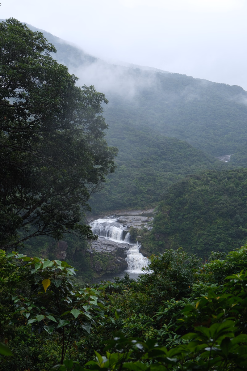 A waterfall cascades down a steep, misty mountain slope covered in dense green forest.