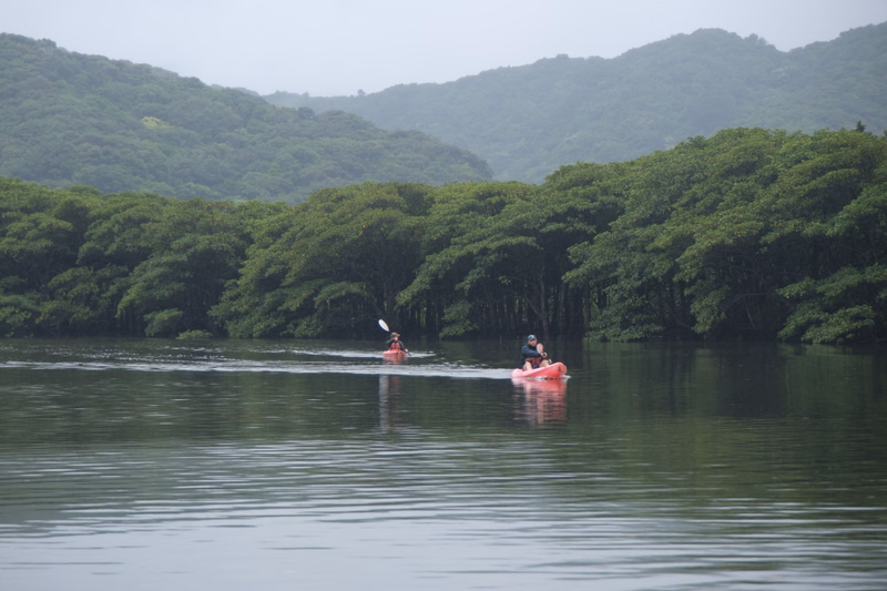 Two people in kayaks paddle across a calm lake surrounded by dense green forest and rolling mountains under an overcast sky.