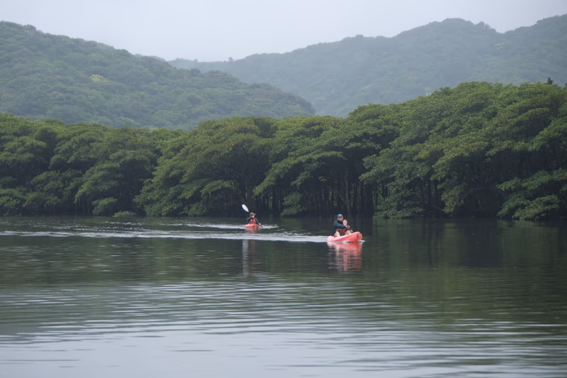 A serene scene of two kayakers paddling through a calm body of water surrounded by lush greenery and mountains in the background.