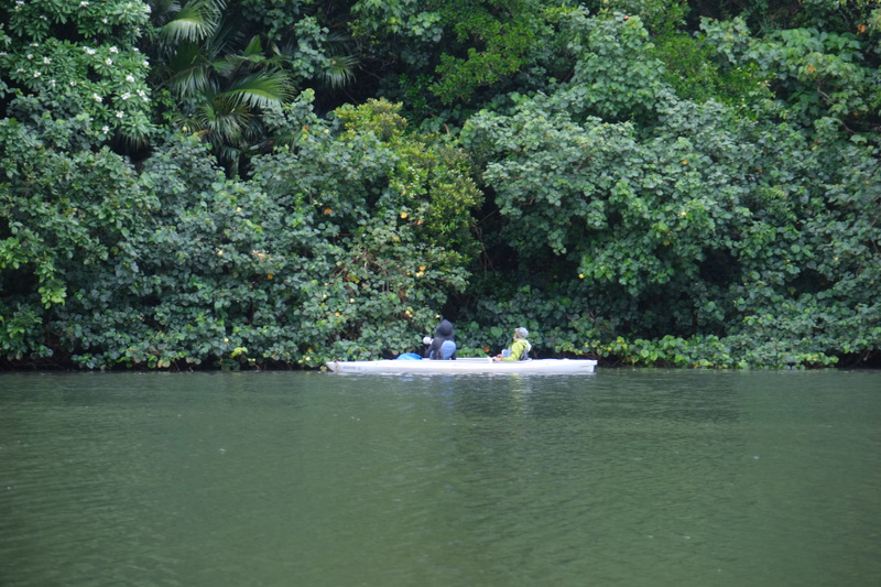Two people in a kayak paddle across calm green water next to dense tropical jungle foliage.