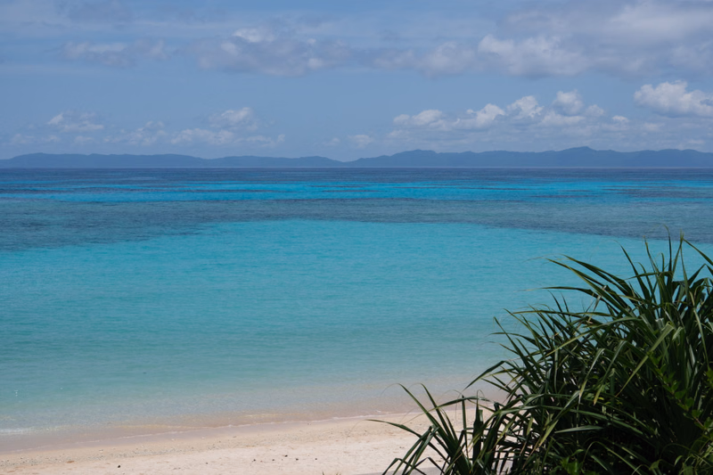 A view of a tropical beach with turquoise water, distant islands, and lush green palm leaves in the foreground.
