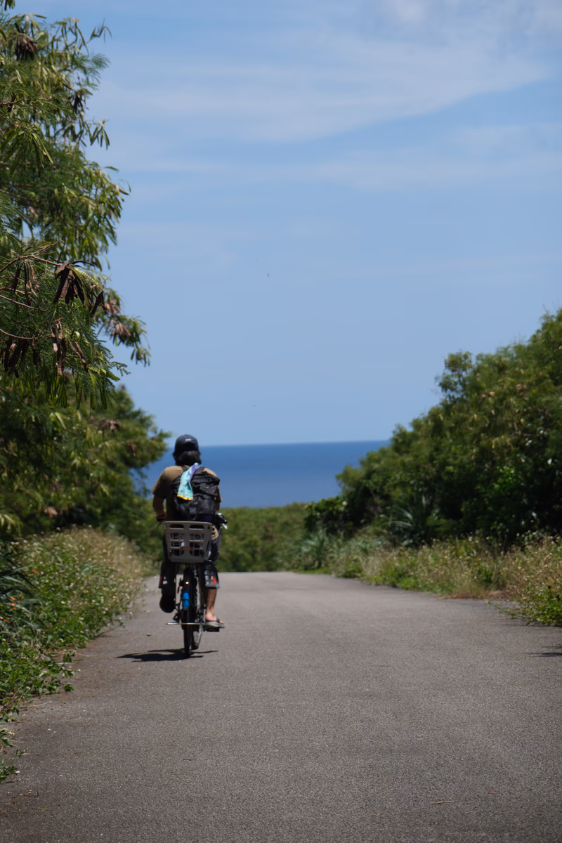 A cyclist rides on a road surrounded by trees and mountains under a clear blue sky.
