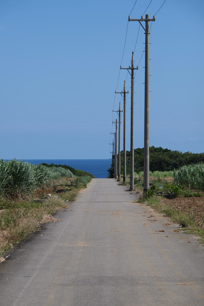 A straight paved road runs alongside a grassy coastline with utility poles and power lines against a clear blue sky and ocean.