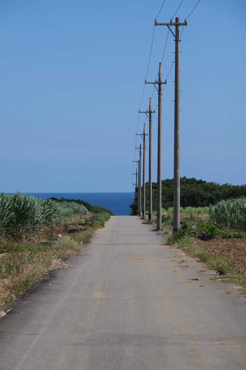 A photograph of a road leading to the sea, with electric poles and lush vegetation on either side.