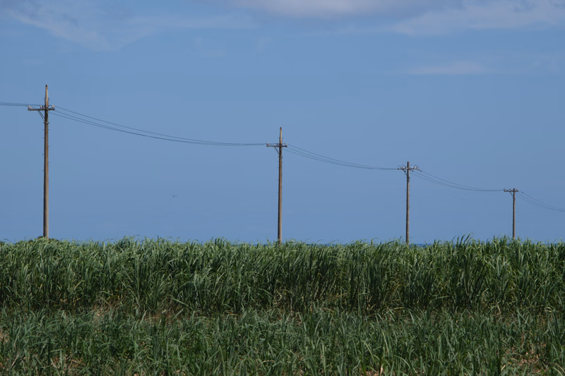A row of utility poles with power lines stretches across a green field under a clear blue sky.