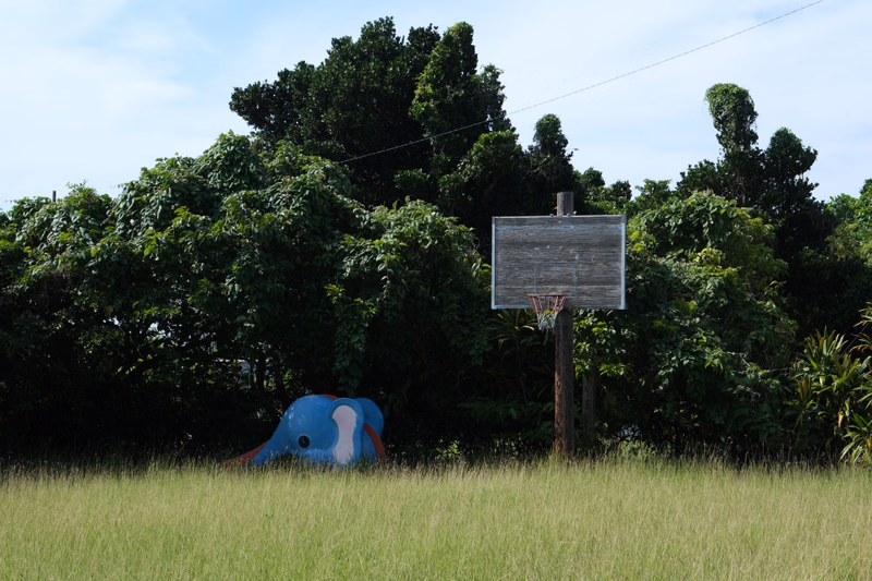 A basketball hoop stands in a grassy field with a blue dolphin sculpture visible among dense green trees under a bright sky.