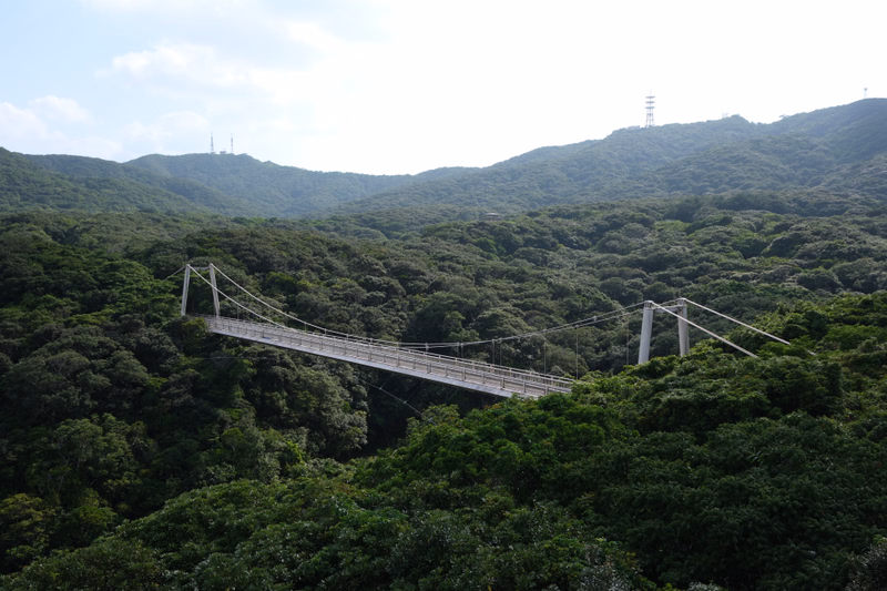 A suspension bridge spans across a dense, lush green forest nestled among rolling mountains under a bright sky.