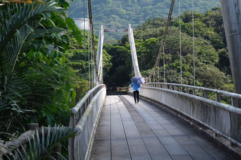 A person holding an umbrella walks across a wooden suspension bridge surrounded by lush green forest during the rain.