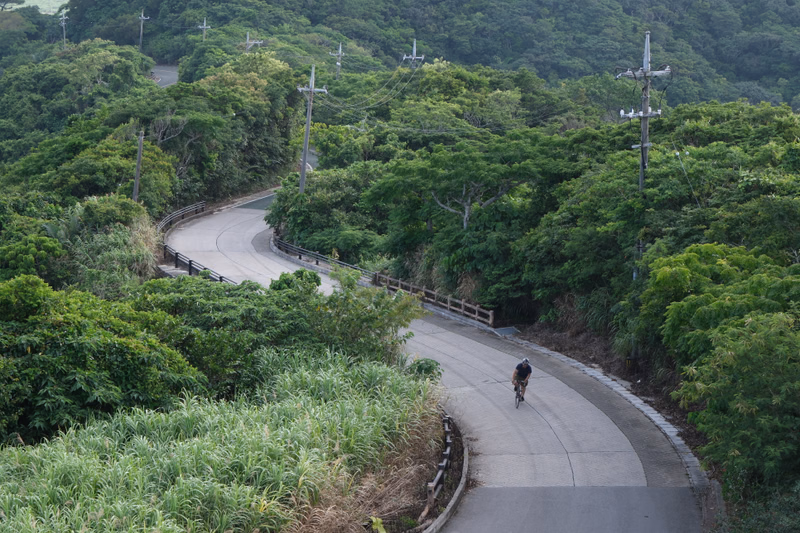 A cyclist rides on a winding paved road through a dense, green forest with utility poles visible.