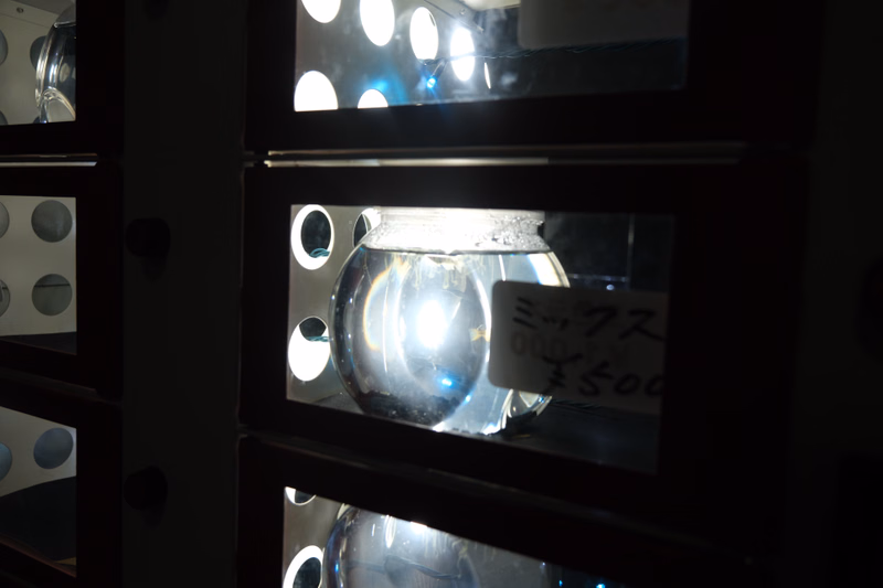 A glass jar with a price tag reading "ミックス 500" is displayed on a shelf inside a shop.