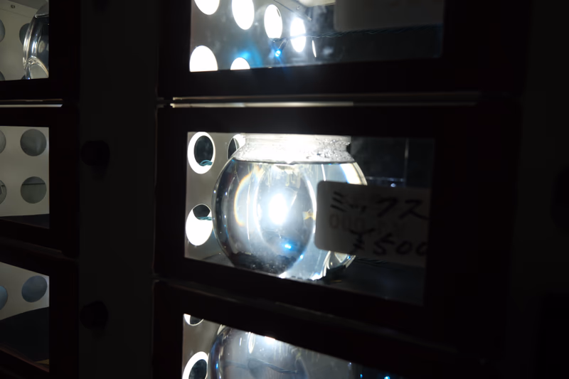 A close-up of a lens with a light source