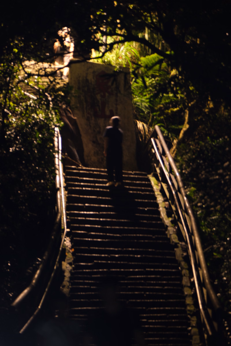 A person walks up a set of outdoor stone stairs surrounded by dense green foliage.