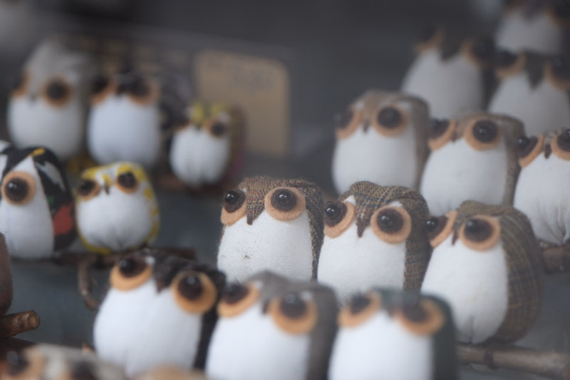 A close-up shot of many small, white and brown owl figurines arranged on a dark surface.