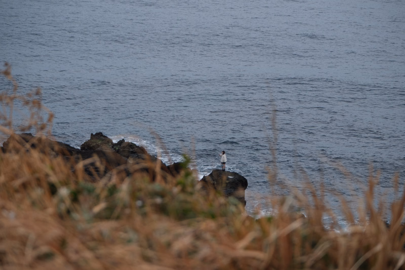 A small person stands on dark rocks overlooking the vast, gray ocean, framed by tall, dry grass in the foreground.