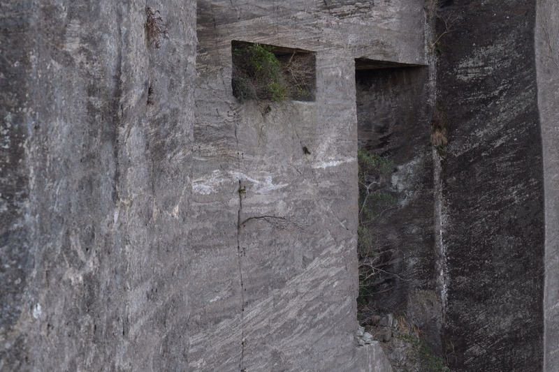 A large, grey rock face features several rectangular openings, some containing small patches of green vegetation.