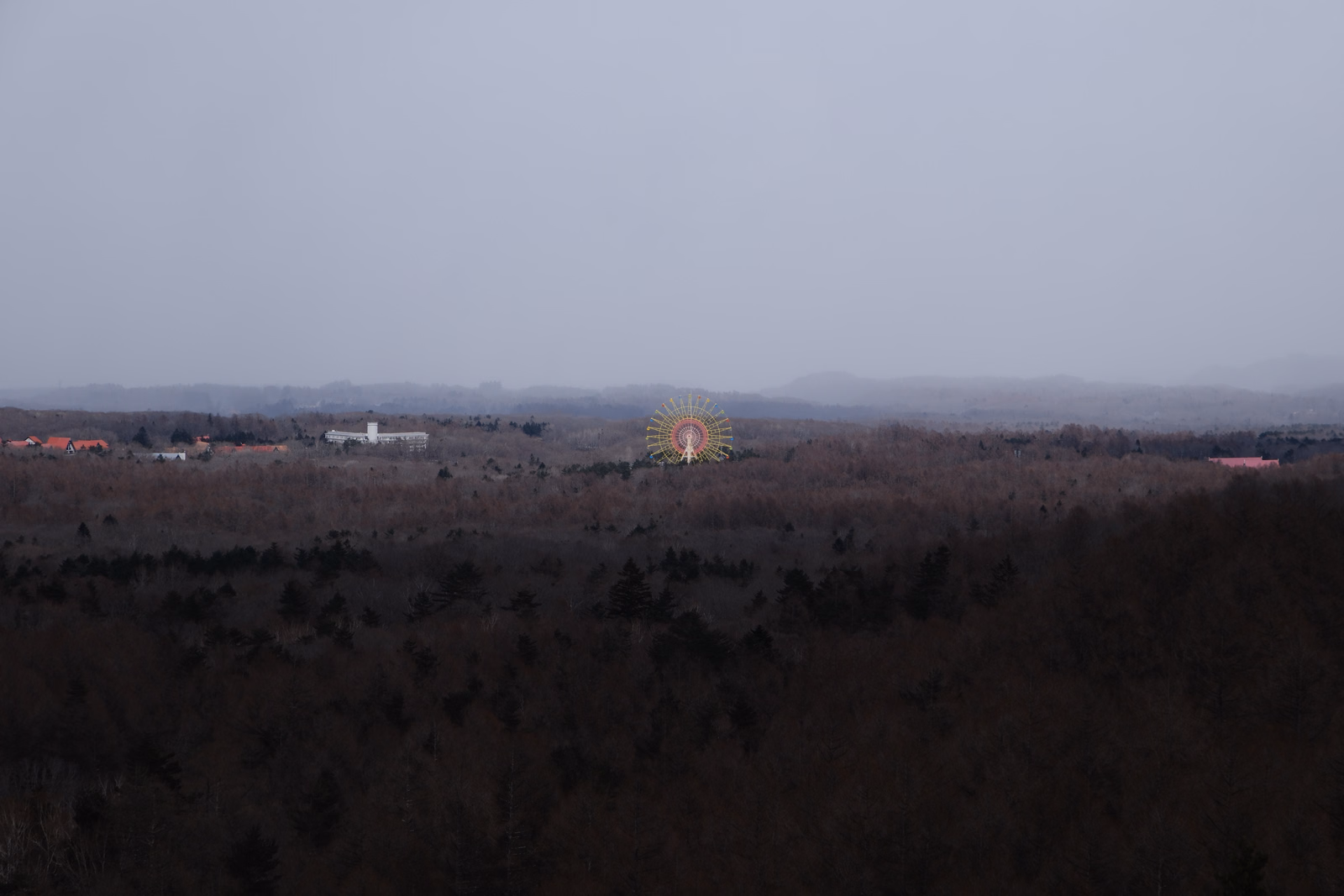A bright sunburst is visible above a dark forest line against a pale, overcast sky.