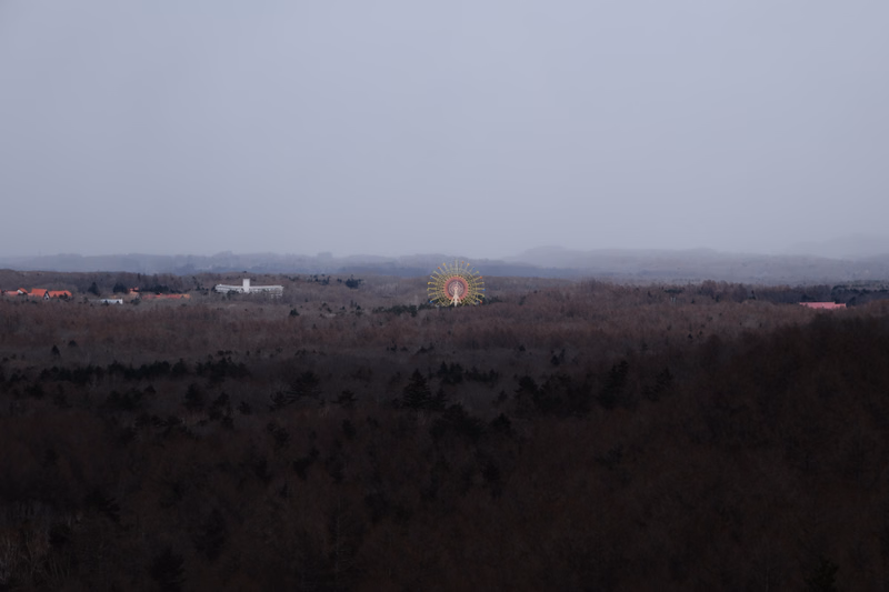 A bright sunburst is visible above a dark forest line against a pale, overcast sky.