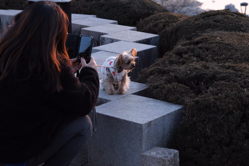 A woman takes a picture of a small, fluffy dog sitting on a large stone step outdoors.