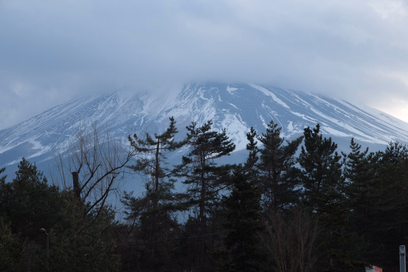 A large, snow-capped mountain peak is partially obscured by low, gray clouds above a dark forest line.