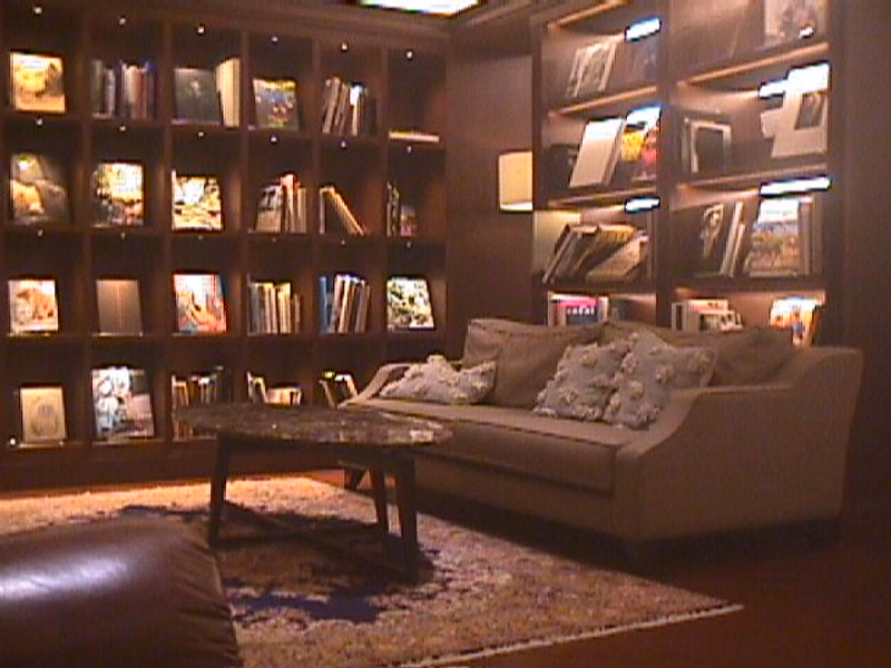 A dark wood bookshelf filled with numerous books is visible in a well-lit interior room.