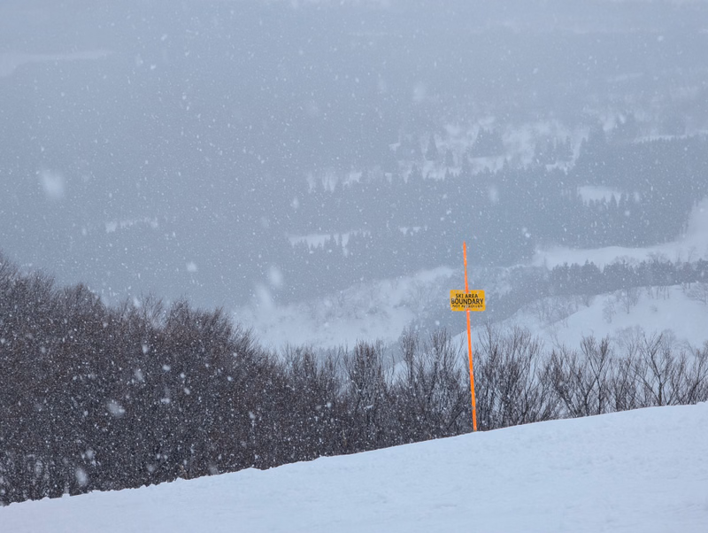 A boundary marker post stands in a snowy field with dense trees in the foreground and a forested hillside in the background during a snowfall.