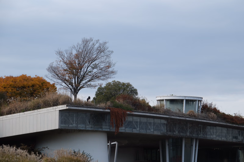 A modern building with a green rooftop is visible under a cloudy sky, featuring a prominent deciduous tree nearby.