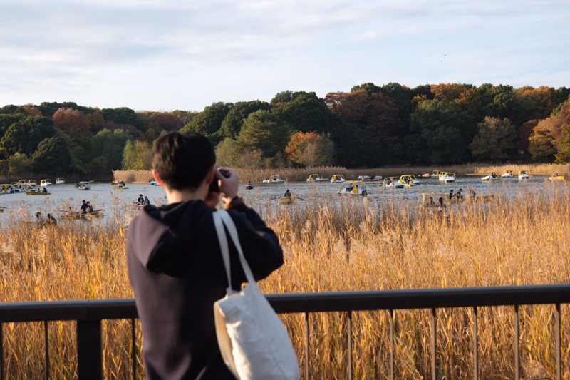 A person stands in tall, dry marsh grass, holding a camera and looking out over a body of water surrounded by autumn trees.
