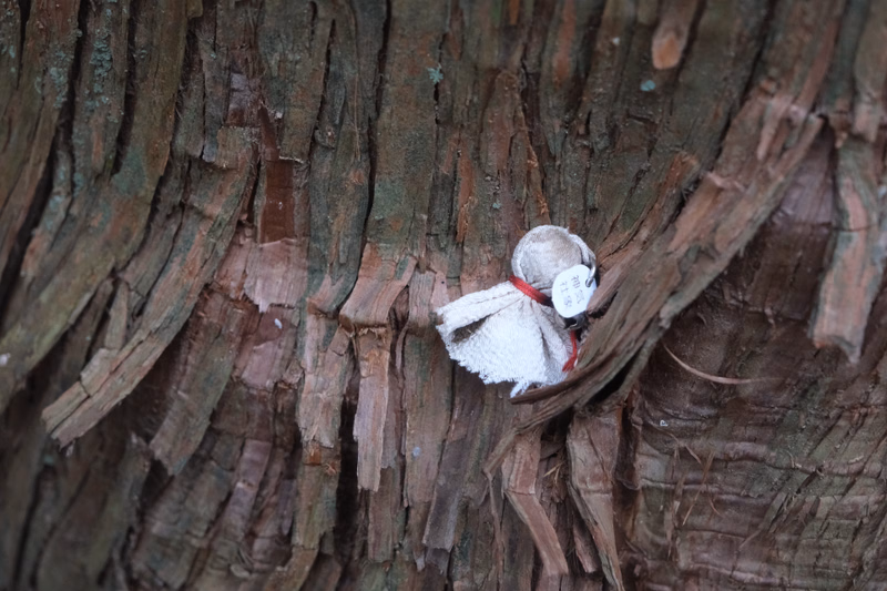 A small, white stuffed toy with a red ribbon is nestled into the deep grooves of a rough, textured tree trunk.