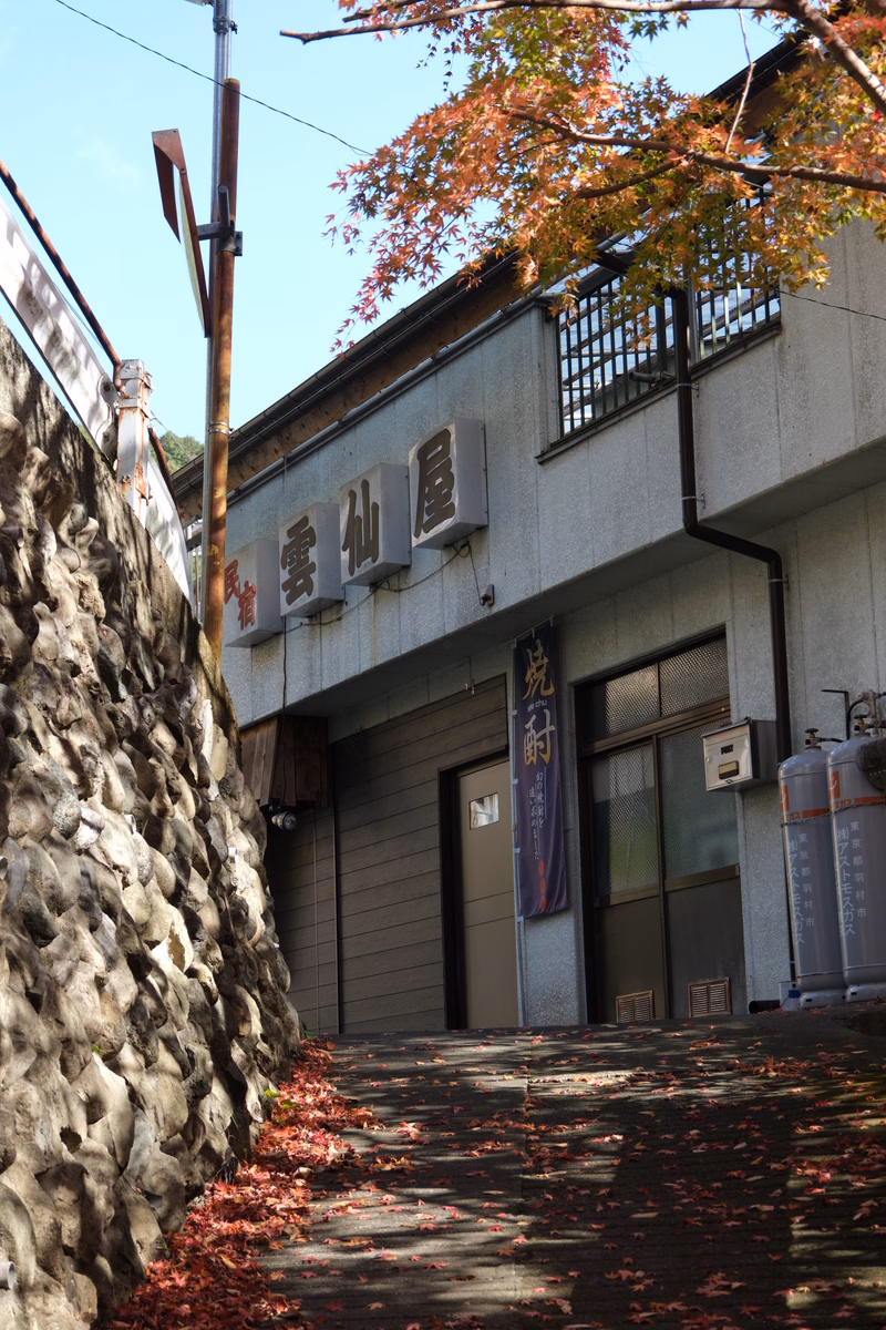 A traditional Japanese building with white walls and dark trim is visible behind a tall stone wall, with autumn leaves on a tree overhead.